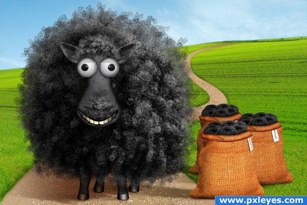 Baabaa Black Sheep photoshop picture